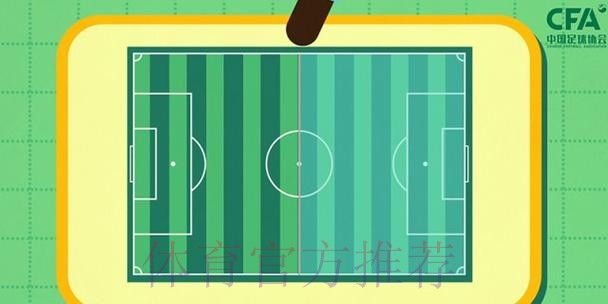 《熊猫说球》第三集：球和球场